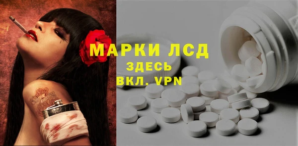 сатива Калининец